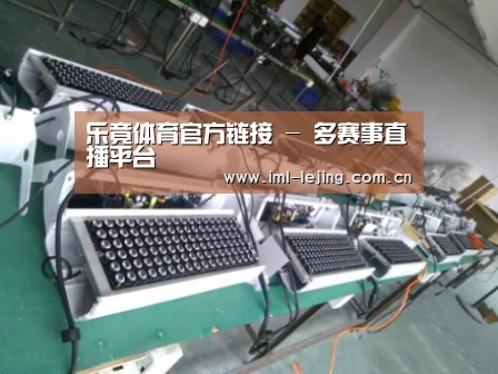 lejing案例展示一(图1)