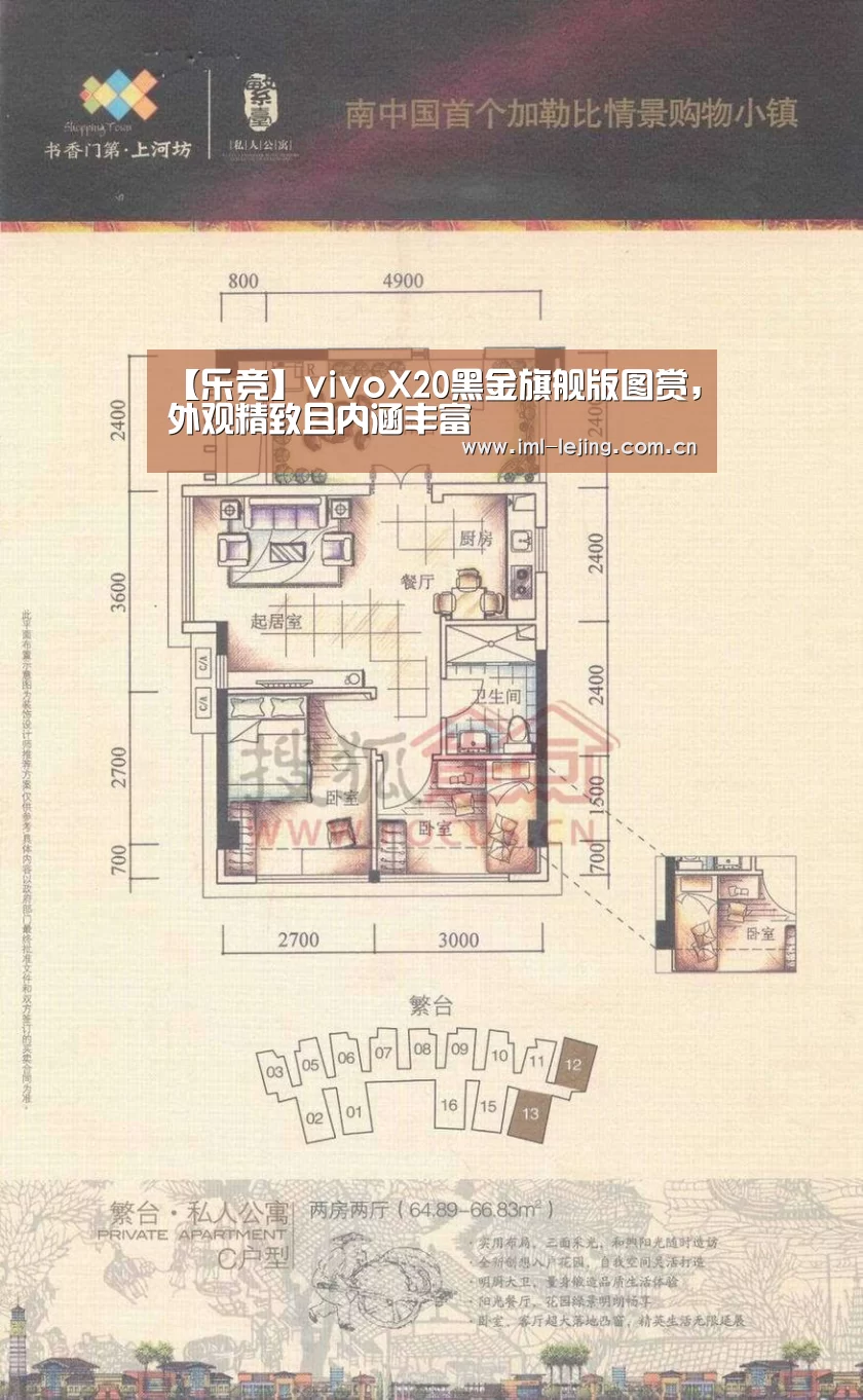 【乐竞】vivoX20黑金旗舰版图赏,外观精致且内涵丰富(图2) 乐竞app