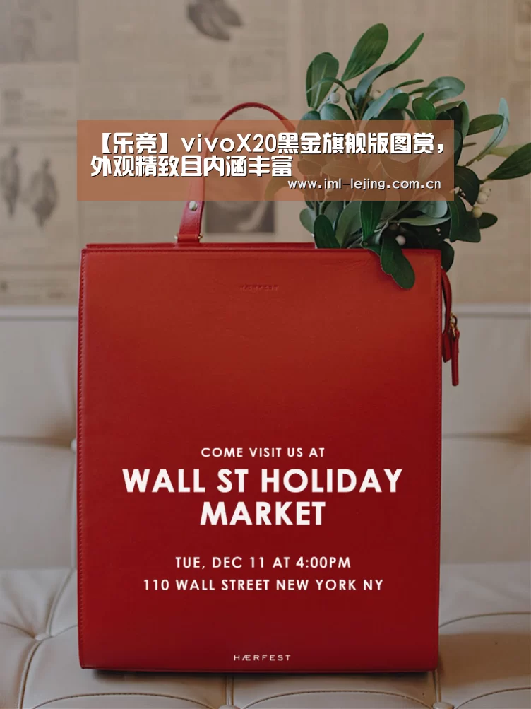 【乐竞】vivoX20黑金旗舰版图赏,外观精致且内涵丰富(图1) 乐竞