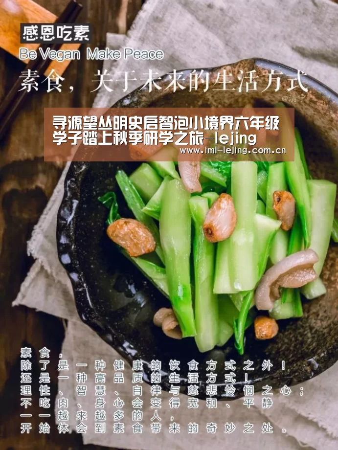 乐竞