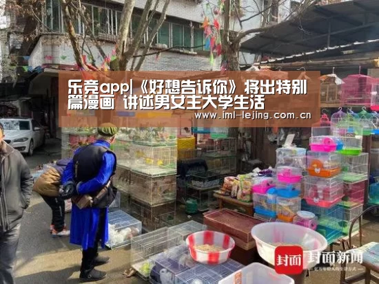 乐竞官网