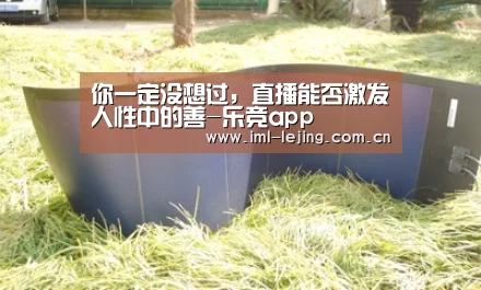 你一定没想过,直播能否激发人性中的善-乐竞app(图1) 乐竞